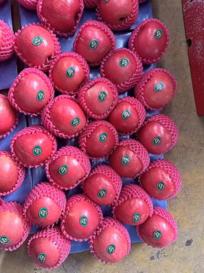 Brand Preserved Apple Pink La Dy FUJI Selected Quality Malus Domestic Fruit